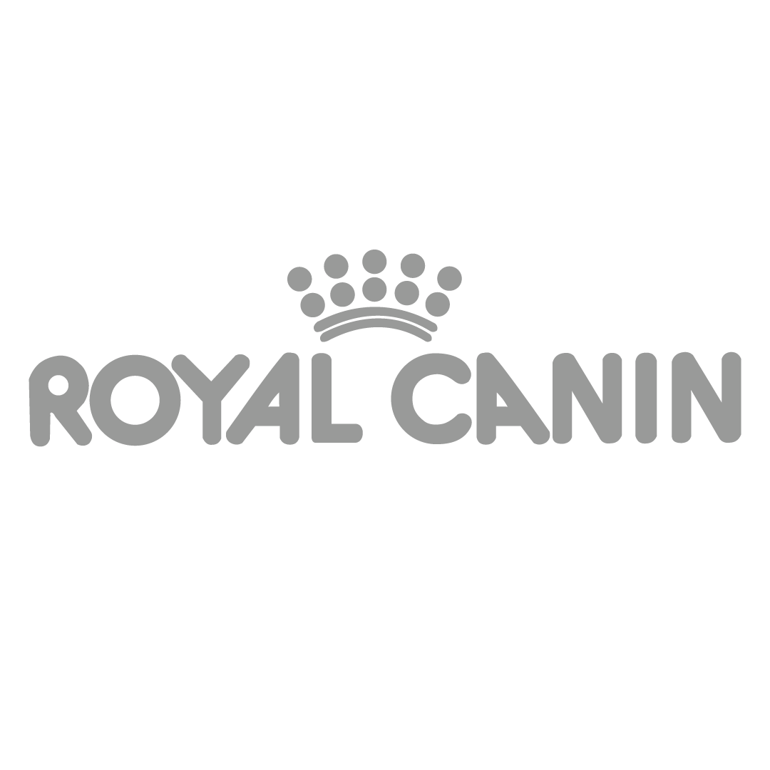 Royal Can_Mesa de trabajo 1