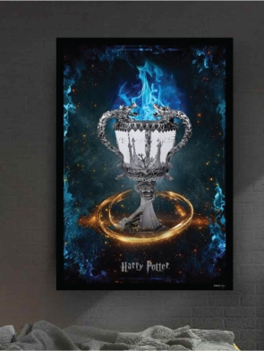 Montajes Harry Potter nuevos-20