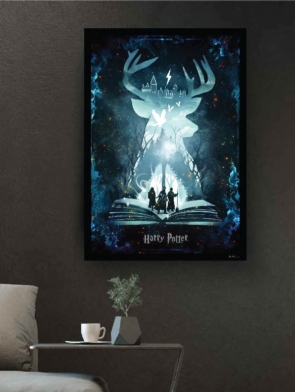 Montajes Harry Potter nuevos-22